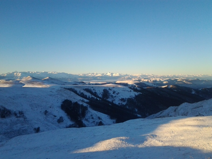 Алексей Пономаренко | Краснодар