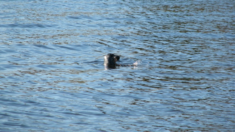 Виктор Волков Викторович | Москва
