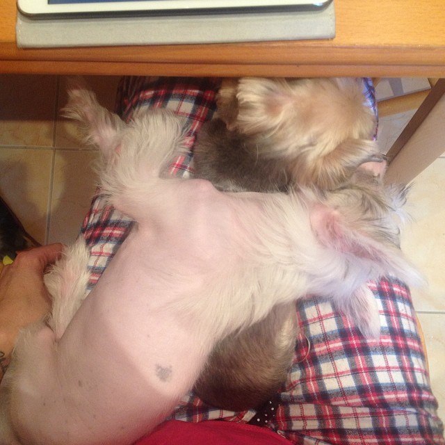 Lidia Sidorenko | Санкт-Петербург