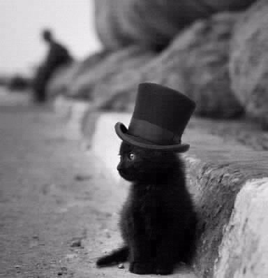 Мария Курнавина | Павлово