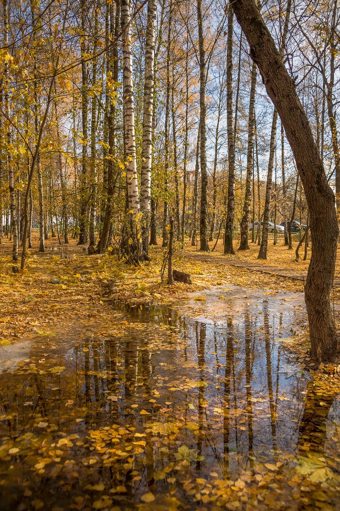 Максим Синицын | Лобня