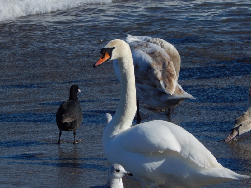 Михаил Фильковский | Симферополь