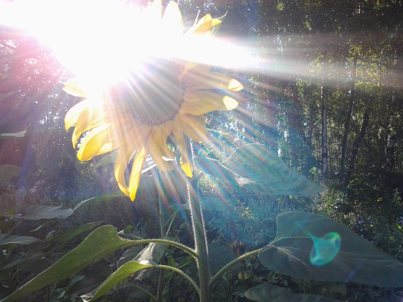 Ярослав Кравченко | Москва