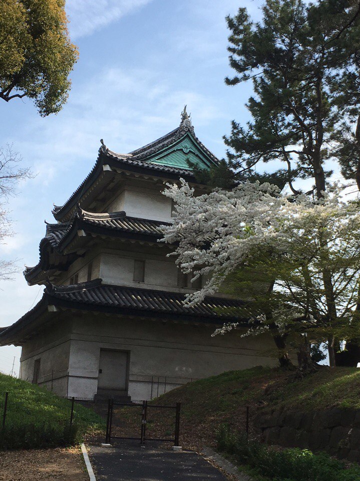 Карина Третьякова | Казань