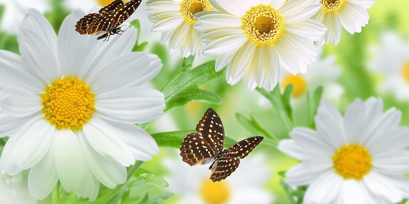 Татьяна Зыкова | Киров