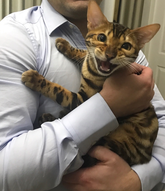 Антон Егоров | Москва