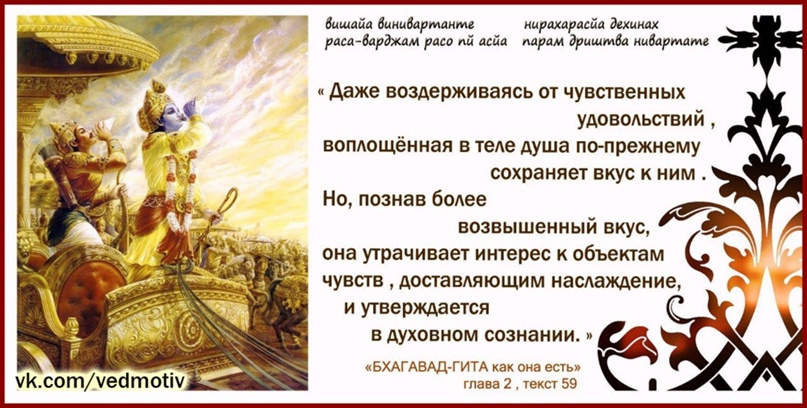 Алексей Никитин | Королёв