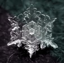 Марина Лысенко |