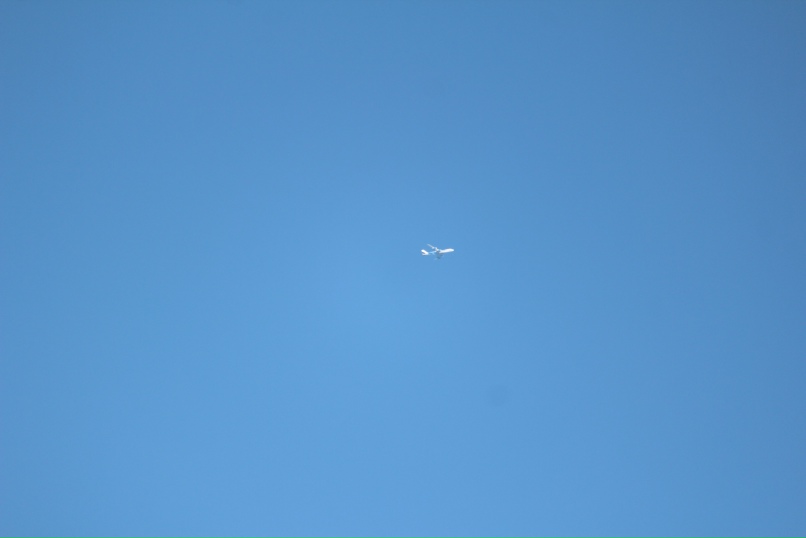 Елена Бодягина | Санкт-Петербург