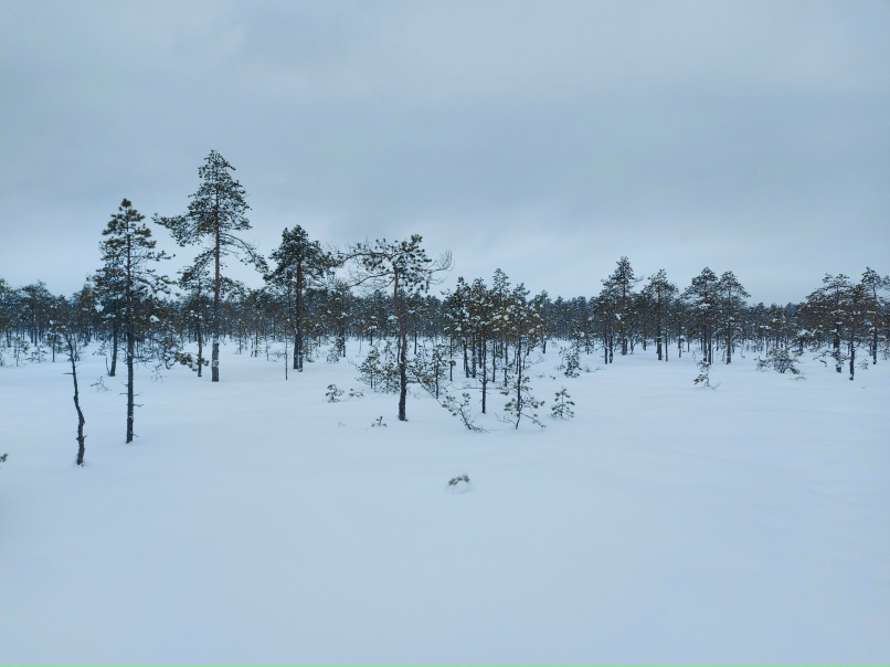 Василий Тимофеев | Санкт-Петербург