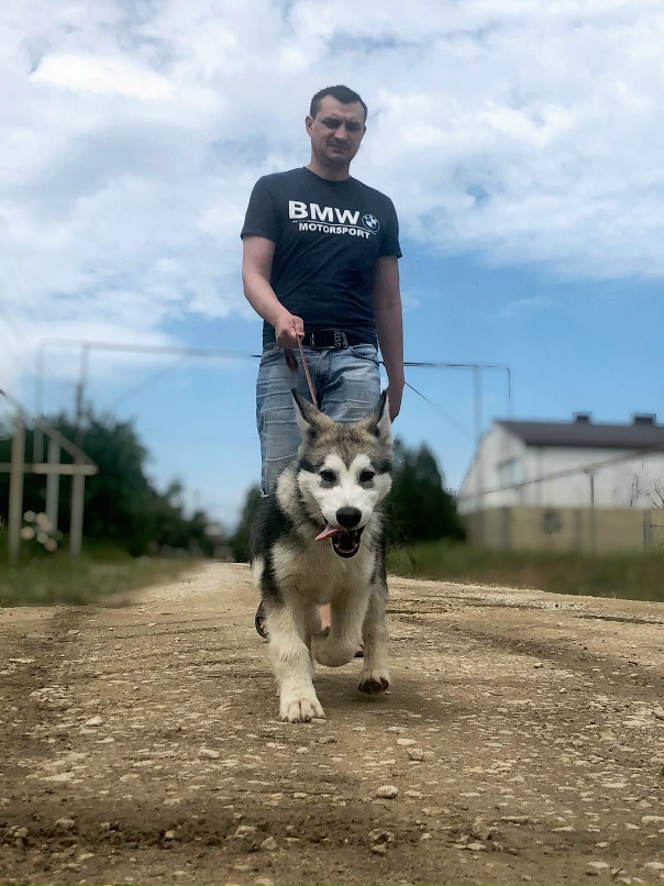 Сергей Чередников | Раздольное