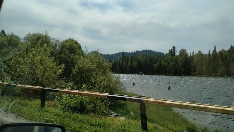 Николай Швецов | Дубна