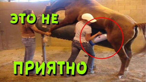 Самая худшая работа в мире, порно кинотеатр, мастурбатор