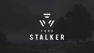 МНЕ ЗАПЛАТИЛИ 65к РУБЛЕЙ, ЧТОБЫ Я ПРОШЕЛ ЭТО! | True Stalker - полное прохождение! (часть 3)