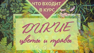 Что входит в курс “Дикие цветы и травы“