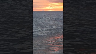 Пинк Флойд “Экос“ Отголоски (Pink Floyd  “Echoes“)🎸 Сочи 2024🌅🌊😎