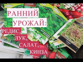 Ранний Урожай! Секреты Посадки Редиса, Салата, Лука, Кинзы в Теплице.