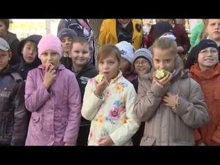 Конкурс юных садоводов
