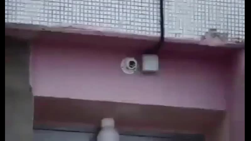 Видео от Vanessa