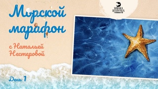 День 1. Морской Марафон с Натальей Нестеровой