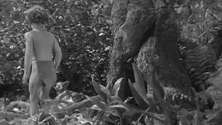 Richard Thorpe 1939 Tarzan y su Hijo ( Johnny Weissmuller, Maureen OSullivan, Johnny Sheffield, Ian Hunter,