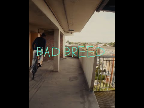 Elf Darkness Bad Breed ( Official