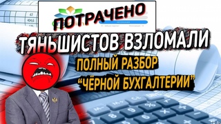 Чёрная бухгалтерия тяньшистов. Подробный разбор уникальной инфы. Начало конца