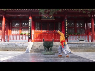 7 Shaolin Xiao Luohan Quan