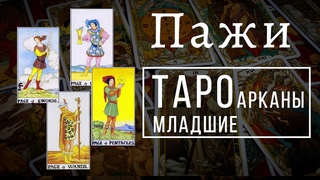 ПАЖИ | Значения МЛАДШИХ арканов | Школа Таро пана Романа 2021