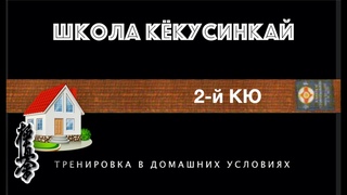 👊ШКОЛА КЁКУСИНКАЙ. 2-й КЮ (в домашних условиях)