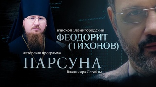 НЕ ЗАБУДУ,НЕ ПРОЩУ,СОПЕРНИЧЕСТВО ДУХОВЕНСТВА И ДЕЛИКАТНОЕ НЕОФИТСТВО.ПАРСУНА ЕПИСКОПА ФЕОДОРИТА
