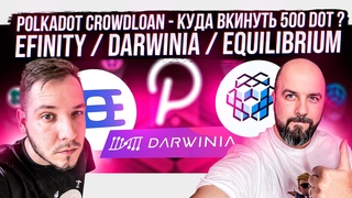 POLKADOT CROWDLOAN - КУДА ВКИНУТЬ 500 DOT ??? EFINITY / DARWINIA / EQUILIBRIUM