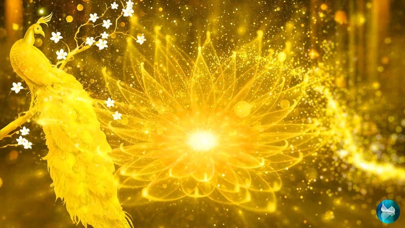 Listen To This And All Kinds Of Good Things Will Happen In Your life Love, Health and Money 432