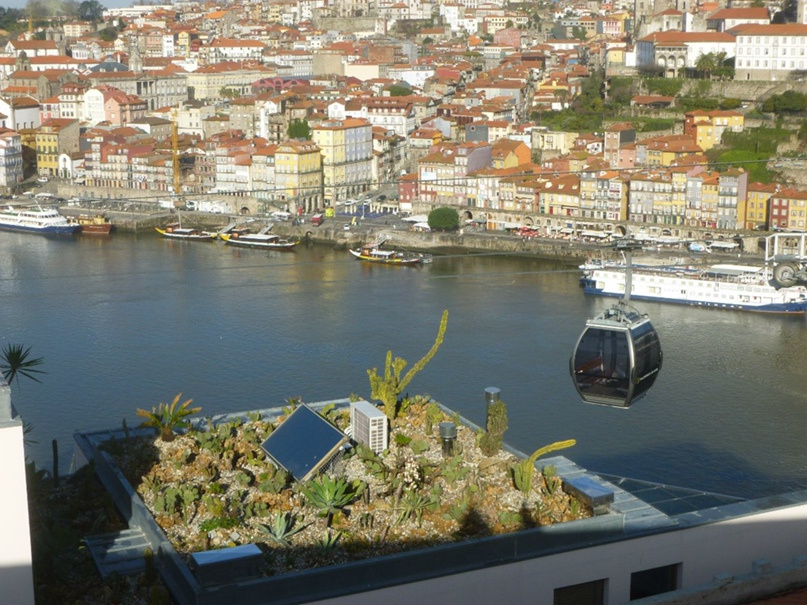 Елена Татаренкова | Санкт-Петербург