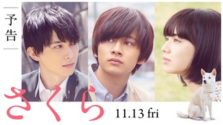 映画『さくら』予告（60秒）2020年11月13日（金）全国ロードショー