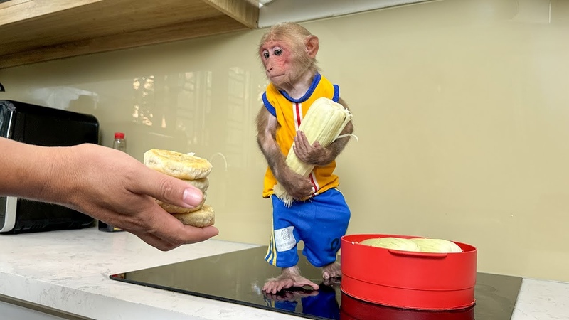 Bibi misunderstood Dad so he enlisted to boil corn for
