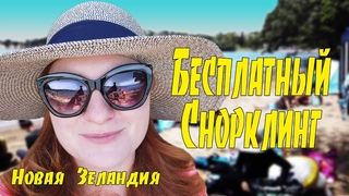 #93 Vlog - Ныряние с маской Снорклинг / Новая Зеландия / Окленд