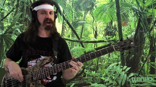 Open Hammer Jungle Jams Nick Schendzielos Comedy Slap Bass Funk Warwick Lady Gaga Kittens