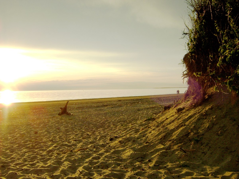 Дмитрий Милов | Санкт-Петербург