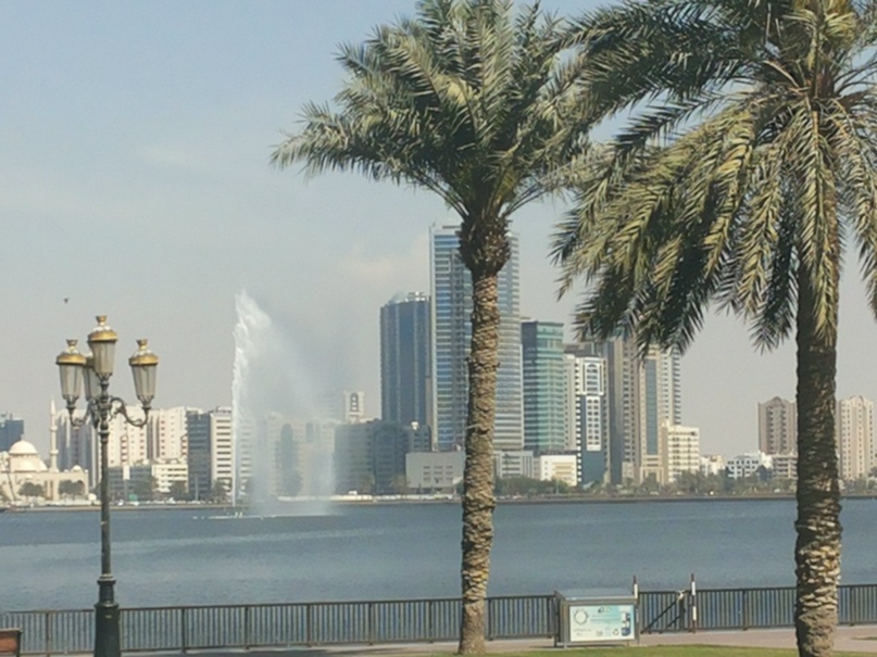 Алёна Дмитриева | Санкт-Петербург