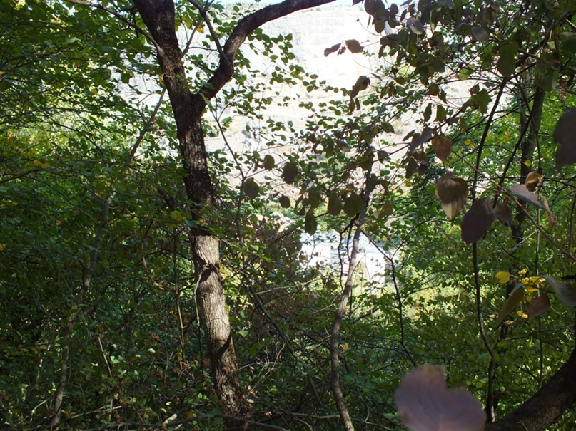 Антон Суслов | Волжский