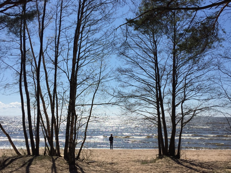 Алексей Дроботов |