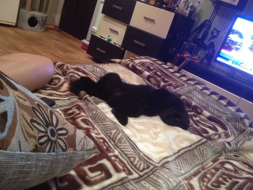 Алексей Семенов | Александров