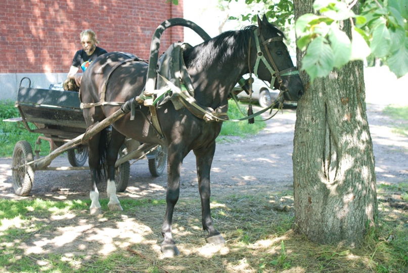 Никита Данилюк | Краснодар