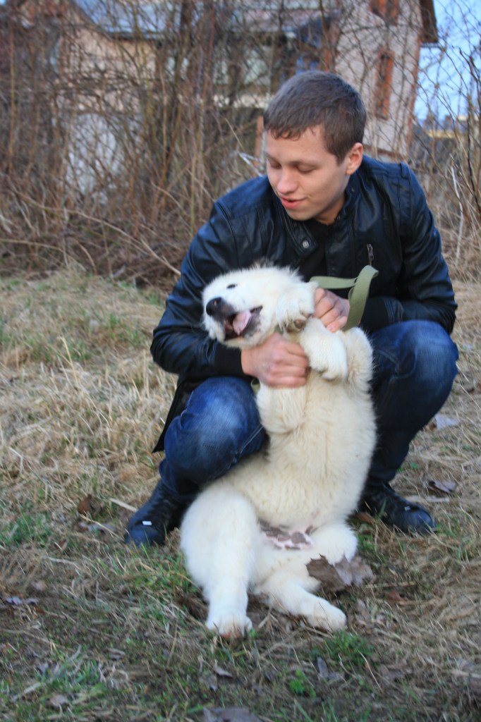 Алексей Сироткин | Санкт-Петербург