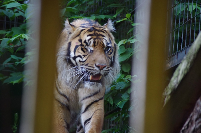 Катя Мельникова | Ayr