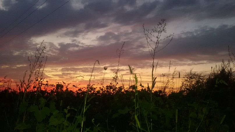 Александр Вольф | Алматы