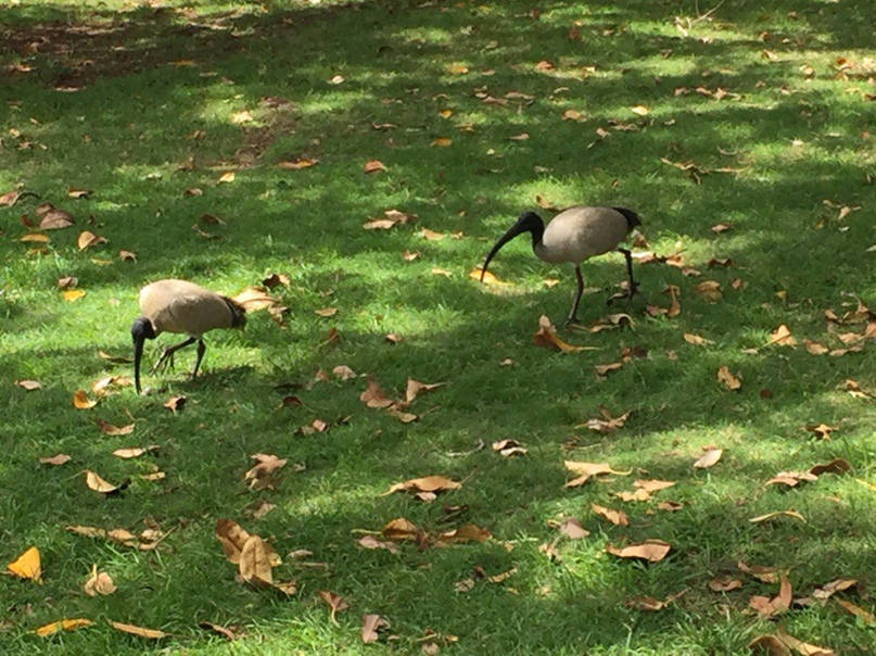 Анна Мельникова | Самара