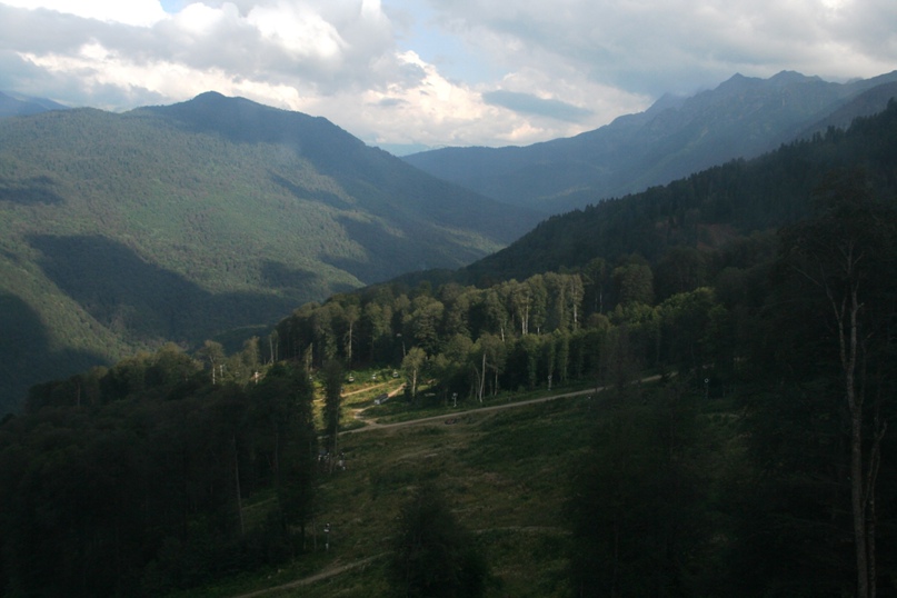 Елена Кочева *Большой Тигр* | Тольятти