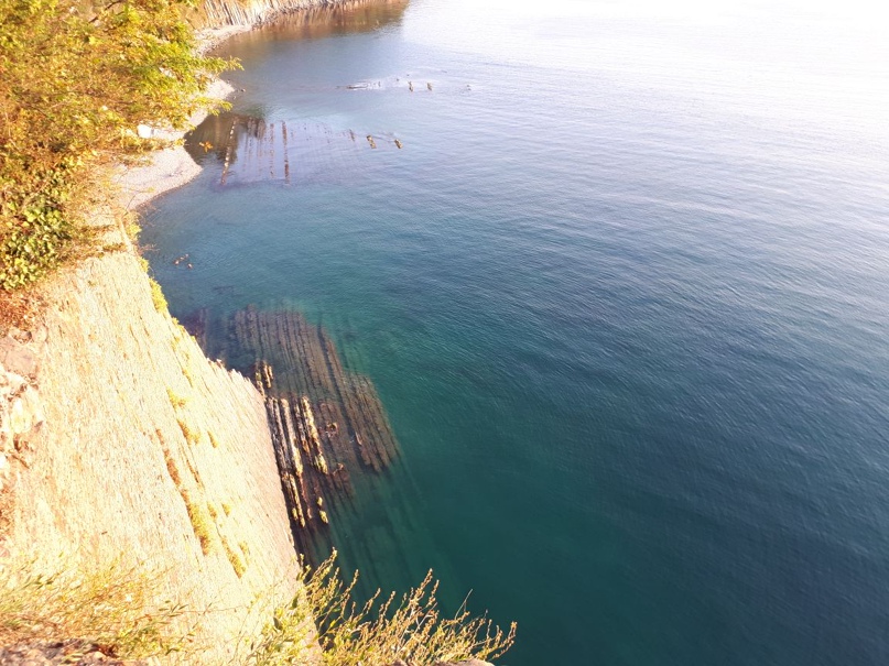 Дима Демьянов DEMON | Санкт-Петербург